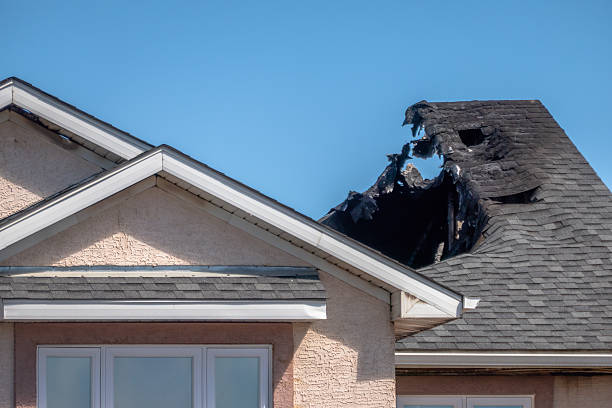 Top rated local Fire Damage Removal specialists in Richmond, VA